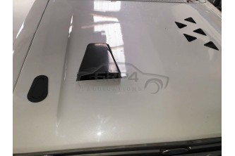 Carbon Bonnet Vent-small *P